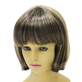 Bang Short Synthetic Straight Wigs