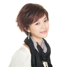 Hair Extension Short Dark Brown Human Hair Wigs