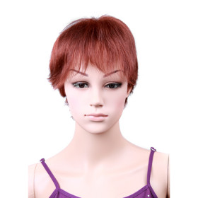 Silky Straight Short Brown Human Hair Wigs