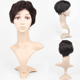 Inclined Bang Black Straight Human Hair Wigs