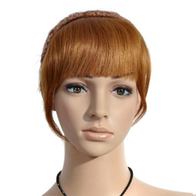 Brown Neat Bang Straight Hair Extensions