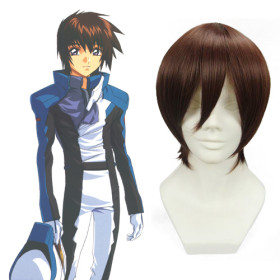 don't buy Gundam SEED Kira Yamato Cosplay Wig