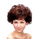 Without Layer Synthetic Brown Curly Wigs