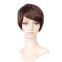 Inclined Bang Heat-resistant Fiber Brown Straight Wigs