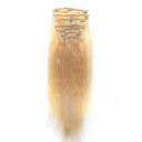 Soft Smooth Light Gold Hair Extensions