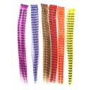 Mixcolor Stripe Clip-In Straight Hair Extensions