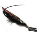 images/v/20111212/1323685061_600.jpg