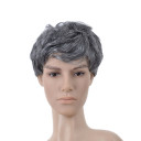 Flip Out Grey Curly Mens Wigs