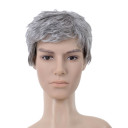 Grey Short Straight Mens Wigs