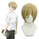 Brown Hair Extension Inclined Bang Cosplay Wigs