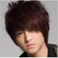 Bark Brown Short With Inclined Bang Mens Wigs
